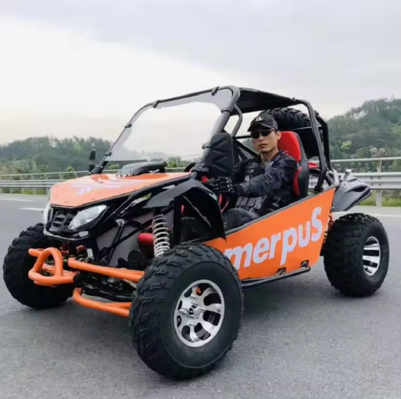 200cc go cart 2