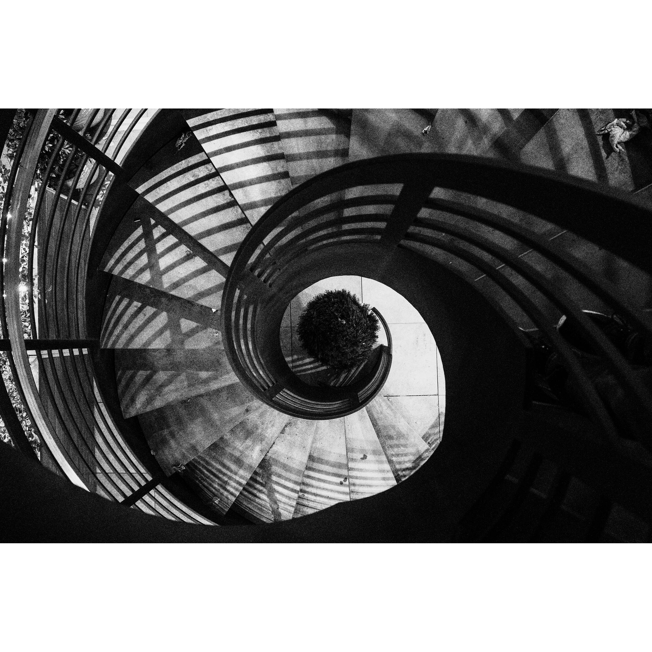 1768409188_IMG_2655407