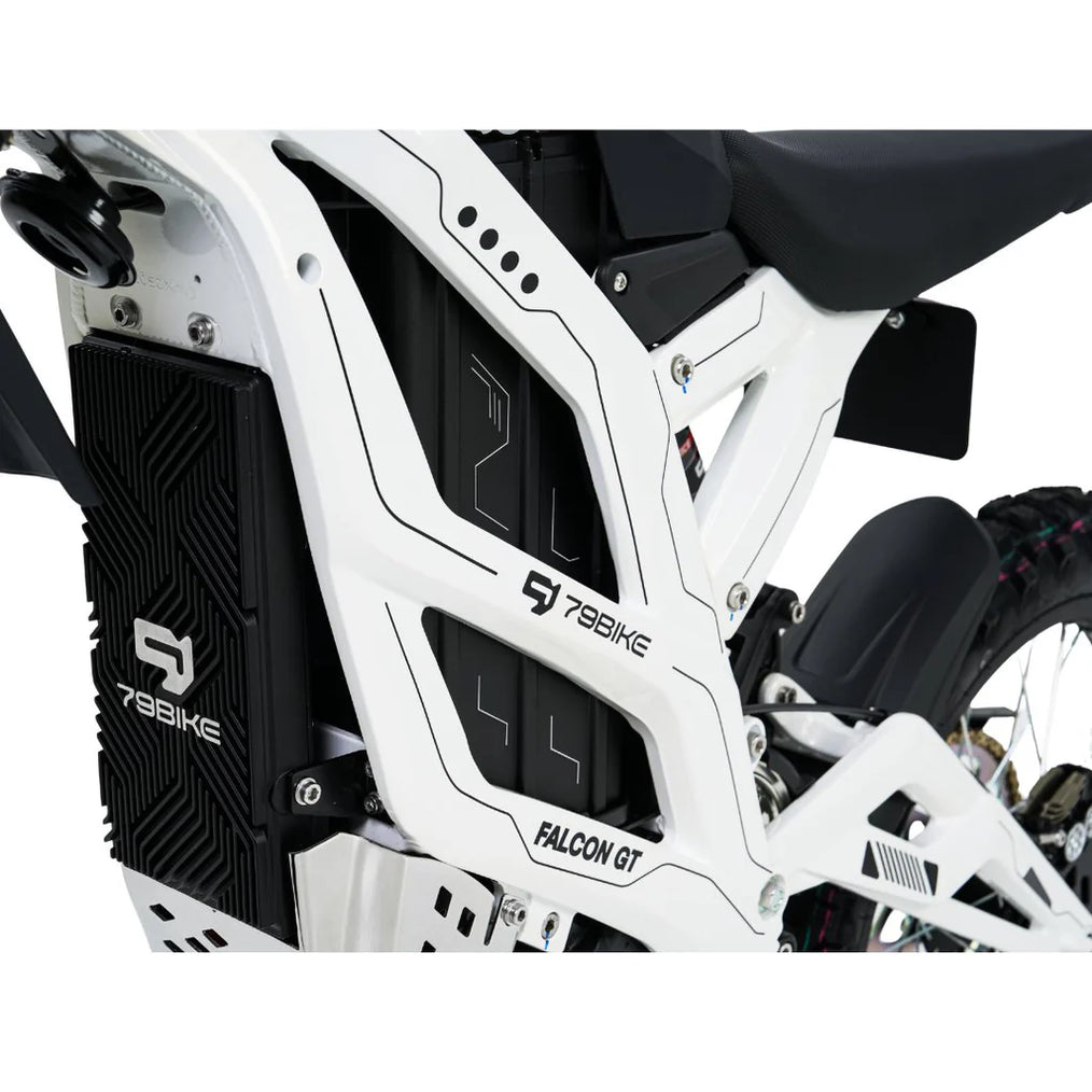 GT_Controller_and_Frame_Angle_White (1)
